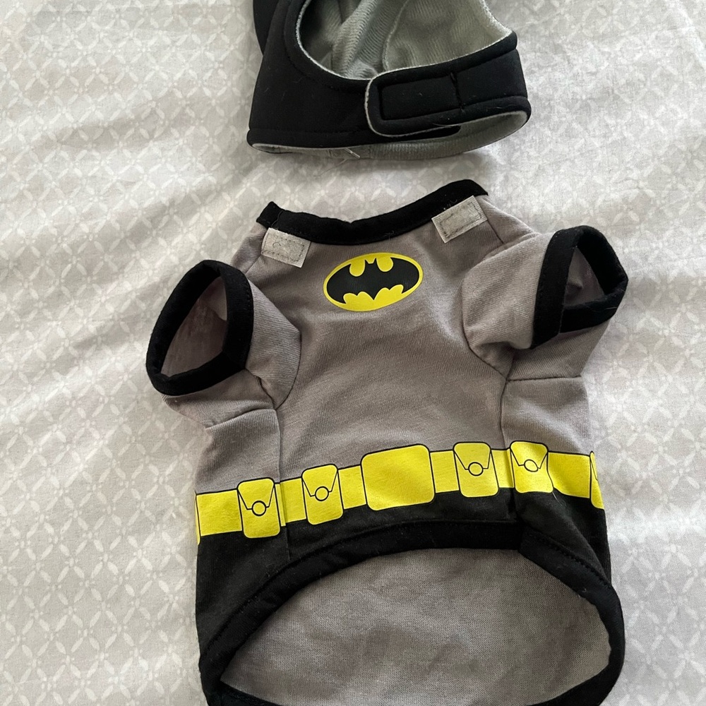 Batman custom - Picture 2 of 2
